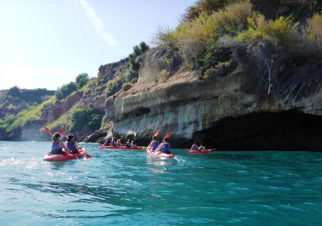 Vida acuática en Nerja