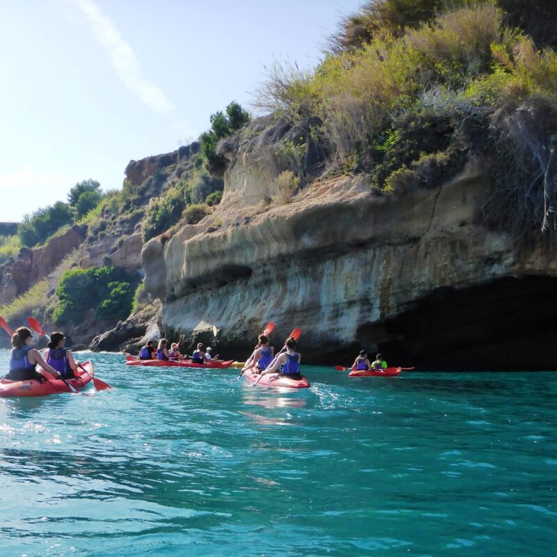 Vida acuática en Nerja